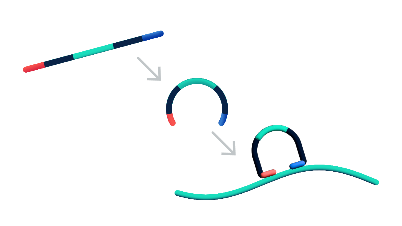 調査の技術 In Situ Chemistry & Transcriptomics Technology | 10x Genomics
